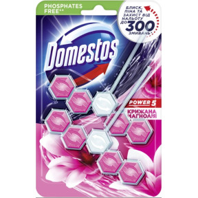 Блок для очистки унитаза Domestos Power 5 Ледяная магнолия, 55 г